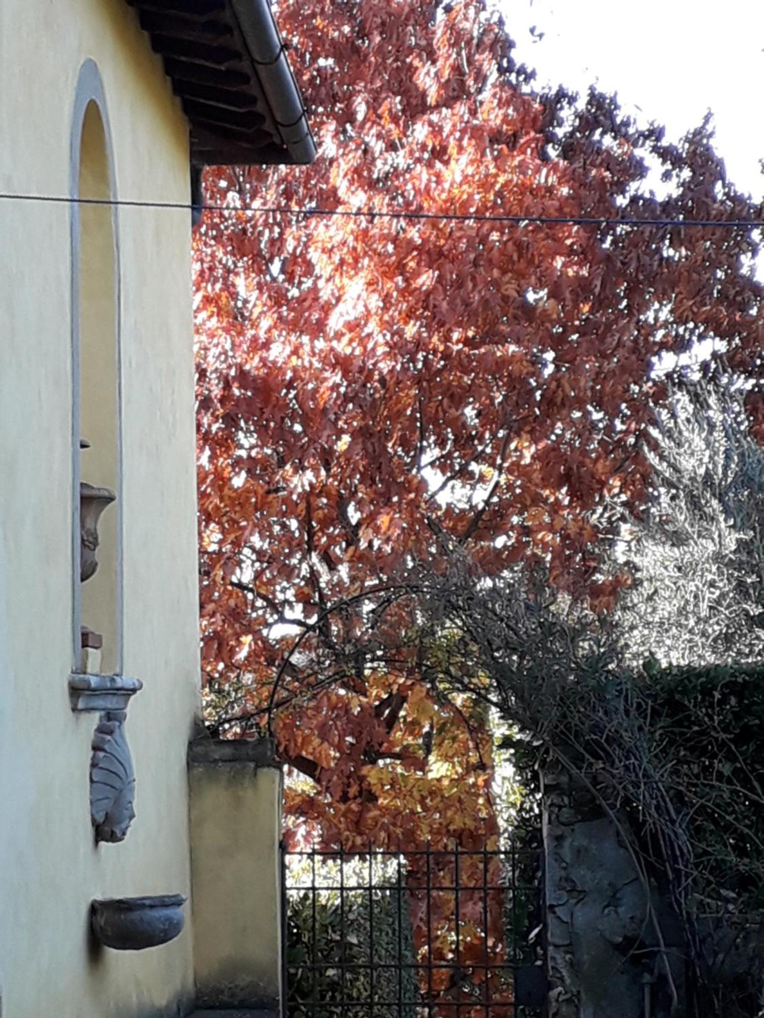 Villa Le Pergole- Firenze Екстер'єр фото